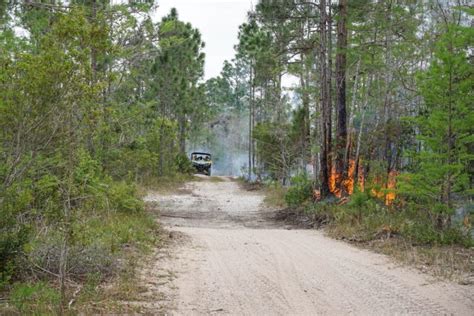 Big Cypress National Preserve wildfire burns north of Alligator Alley; 40% contained